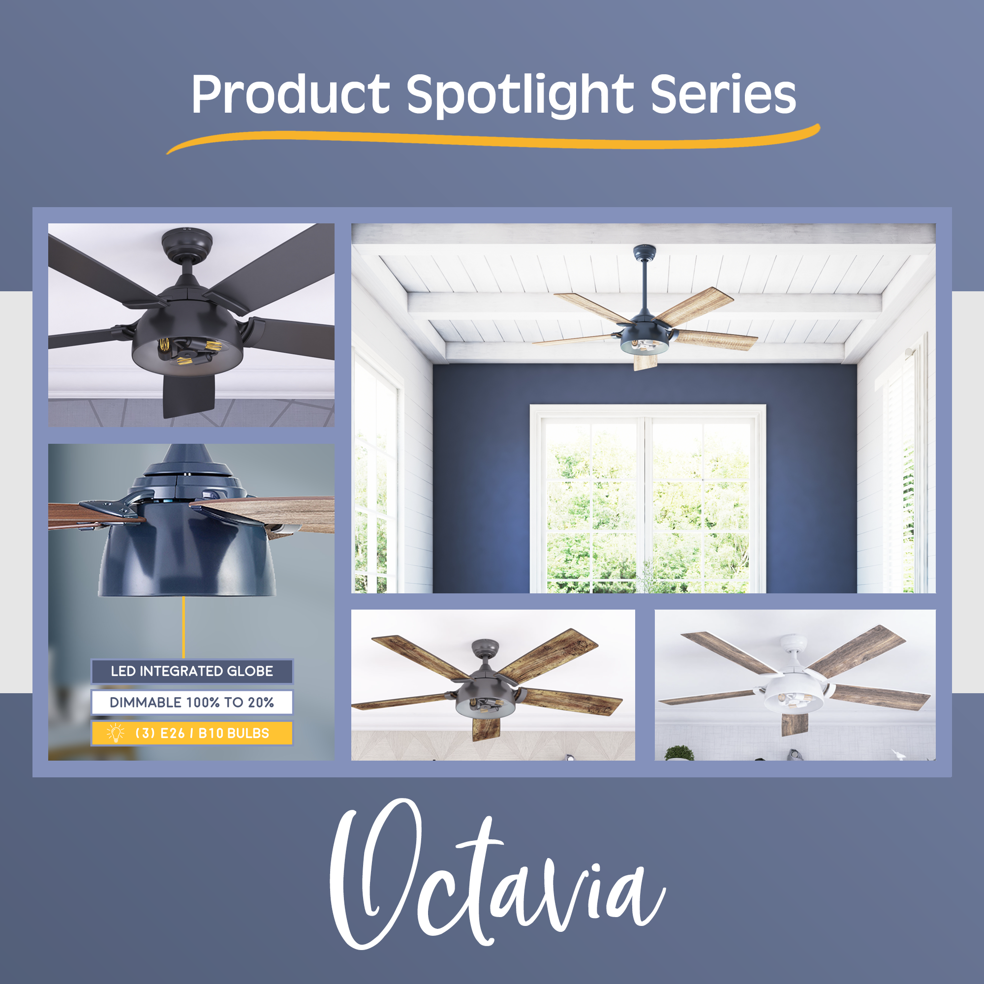 Product Spotlight: Octavia