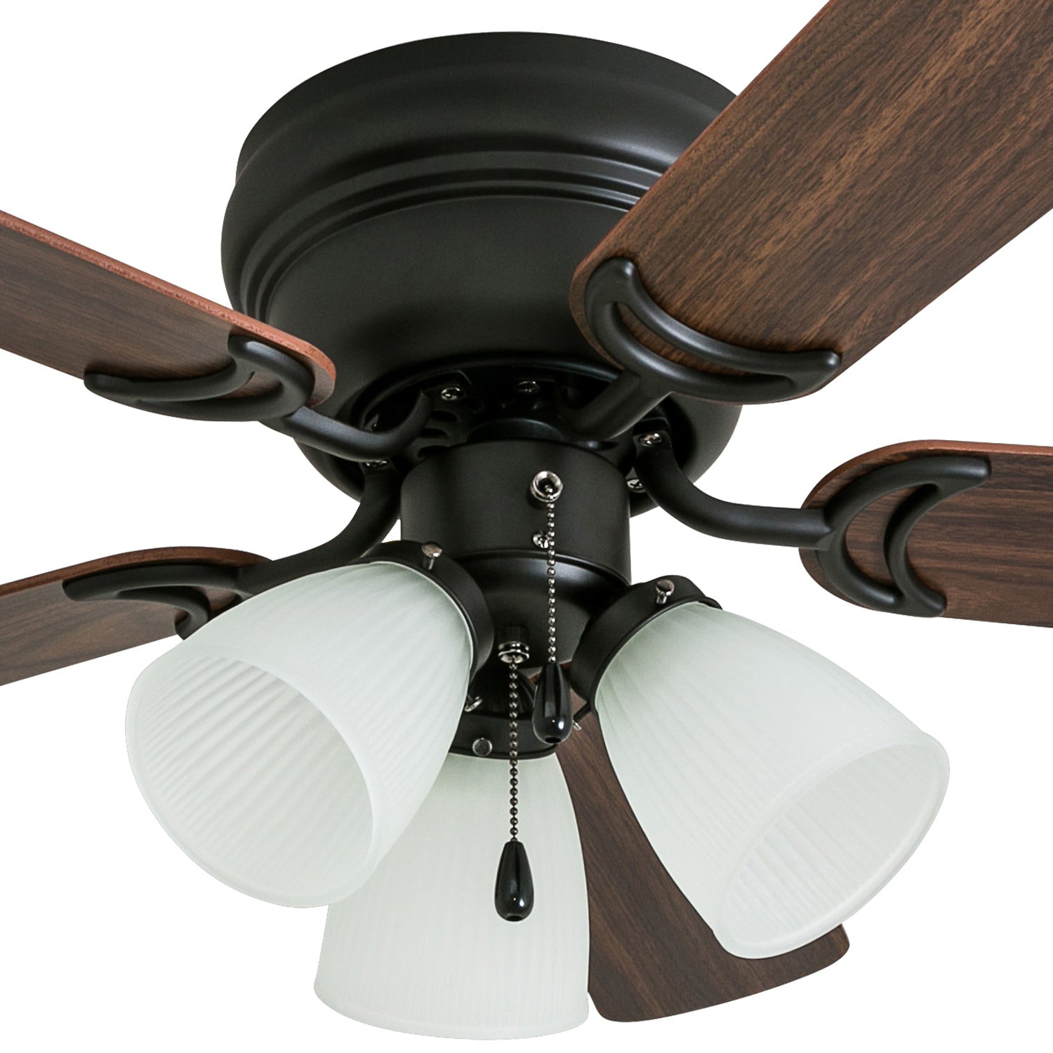 42 Inch Whitley, Bronze, Pull Chain, Ceiling Fan by Prominence Home