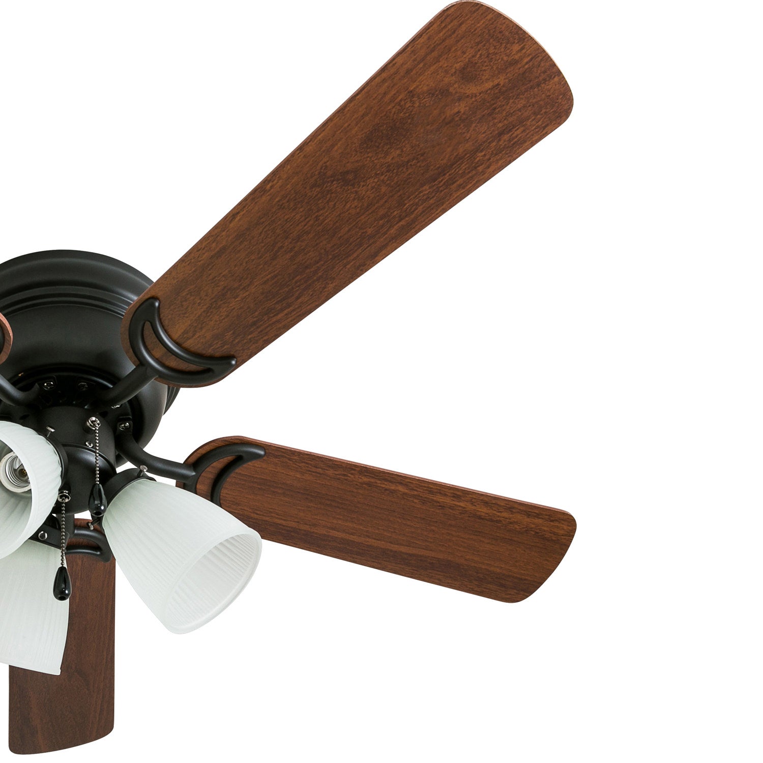 42 Inch Whitley, Bronze, Pull Chain, Ceiling Fan by Prominence Home