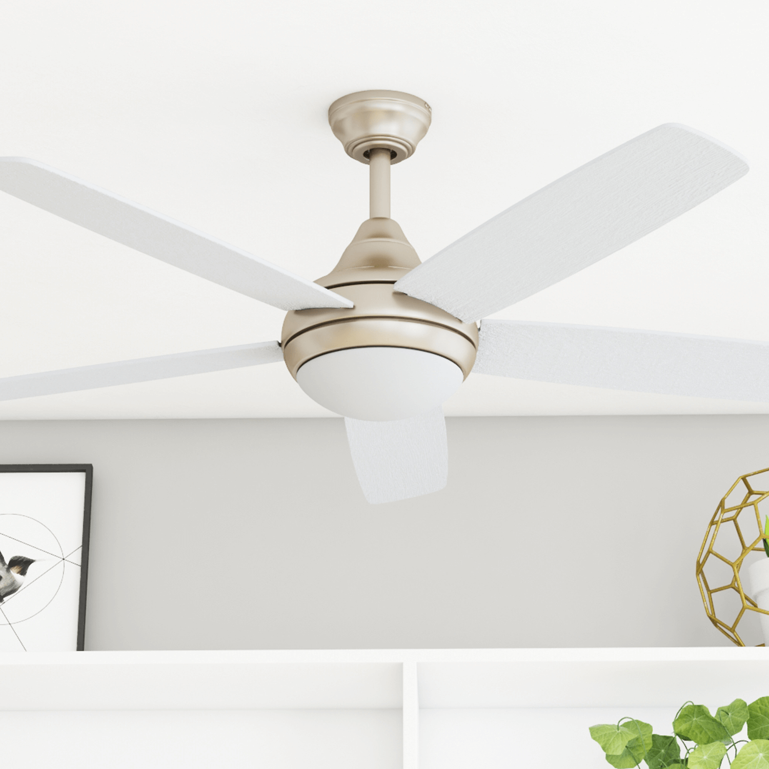 Hampton Bay Ceiling Fans Official Website Shelly Lighting