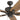 52 Inch Glencrest, Bronze, Pull Chain, Ceiling Fan by Prominence Home