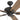 42 Inch Russwood, Bronze, Pull Chain, Ceiling Fan by Prominence Home